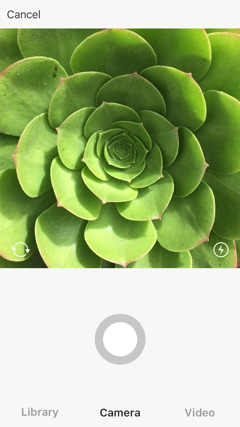 tela iphone 4